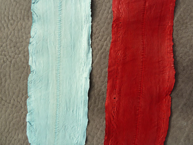 Bestand:Aalleder-006.jpg