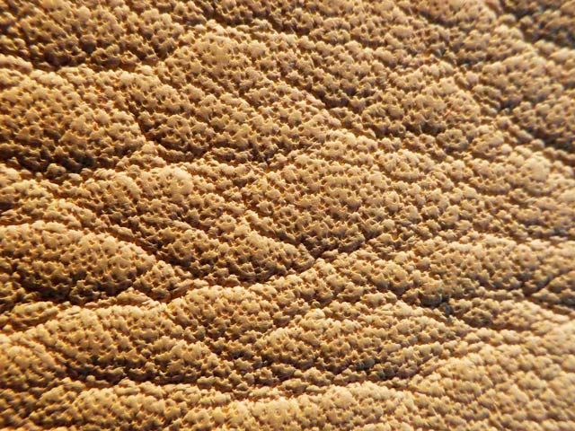 Bestand:Anilin-Poren-01.jpg