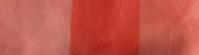 Bestand:Ausbleichen-1311-bis-0302.jpg