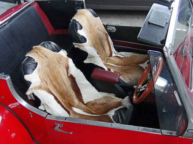 Bestand:Auto-Fell-Sitzschoner-01.jpg