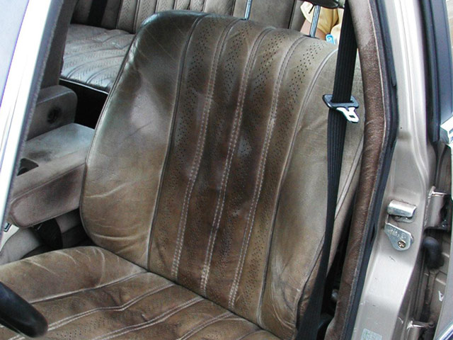 Bestand:BMW-Bueffelleder.jpg