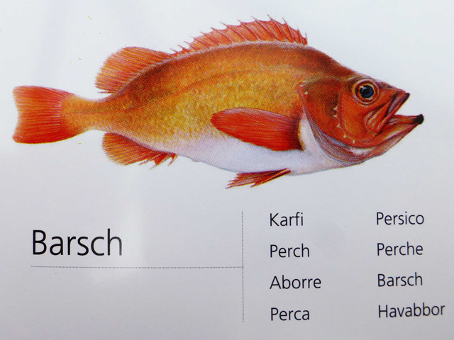 Bestand:Barsch-01.jpg