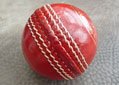 Cricket-0001.jpg