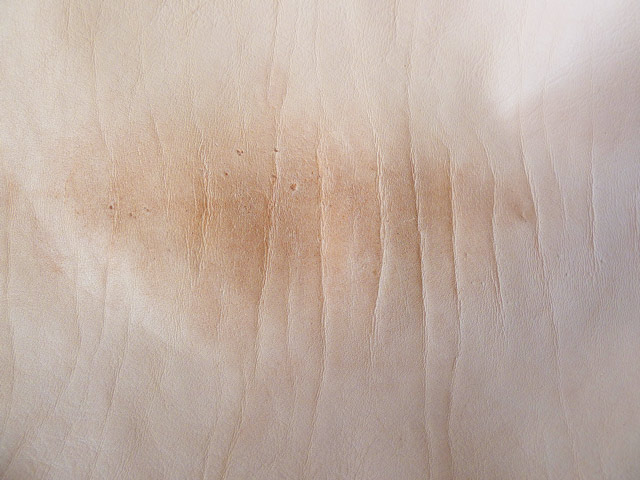 Bestand:Dungstelle-005.jpg