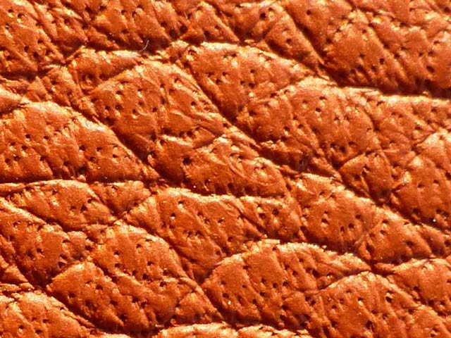 Bestand:E- Zwischenlager Fotoverzeichnis-Firma DATA2-FO Lederarten Semianilin Semianilin-Poren-01.jpg
