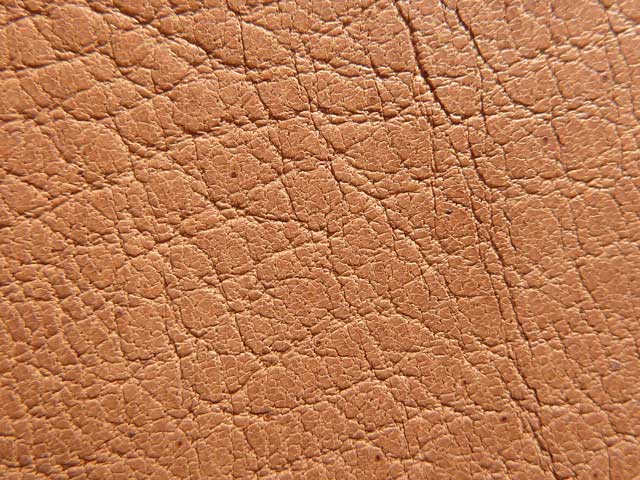 Bestand:Elchkalb-Nappa-01.jpg