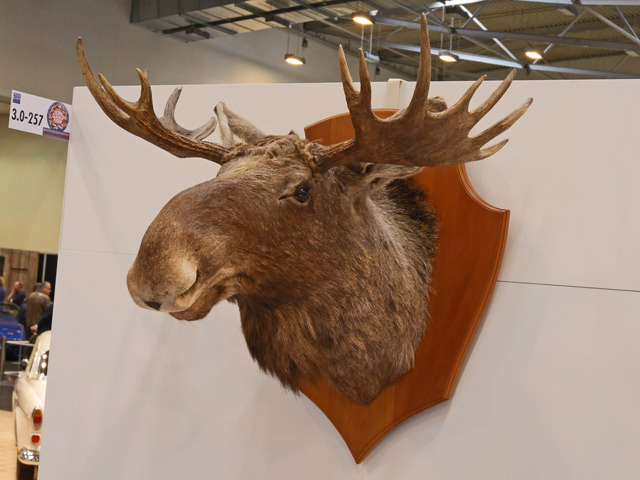 Bestand:Elchkopf-01.jpg