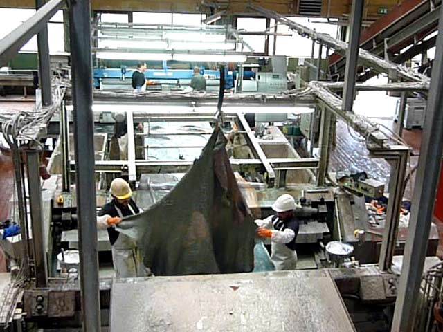 Bestand:Entfleischen-002.jpg