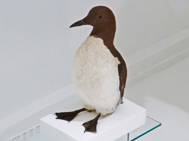 Bestand:Federmantel-Federbalg-02-Ledermuseum-Offenbach.jpg