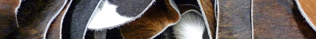 Bestand:Fell-Kuhl-02.jpg