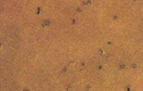 Bestand:Gabelschtiche-01.jpg