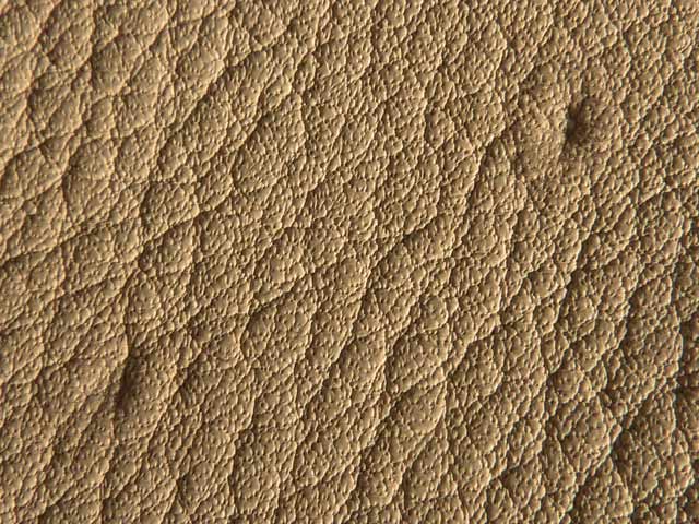 Bestand:Gabelstiche-01.jpg