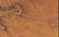 Bestand:Geschwuere-01.jpg