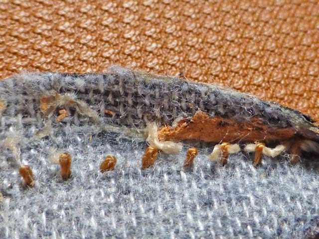 Bestand:Handytaschen-03-05-2012-09.jpg