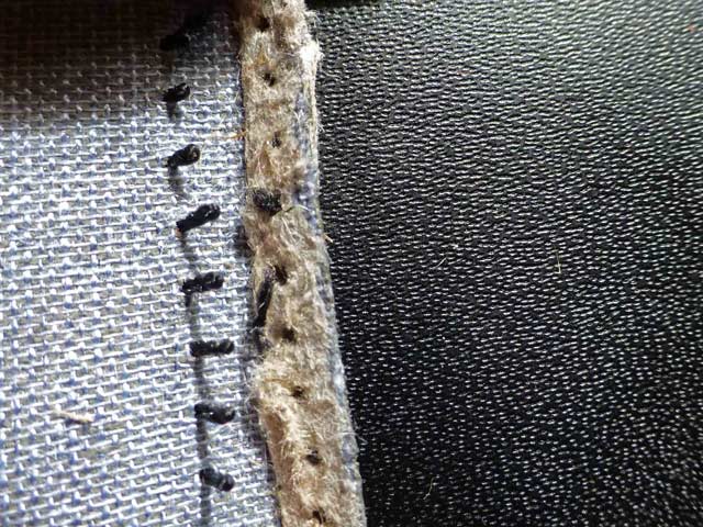 Bestand:Handytaschen-07-04-2012-09.jpg