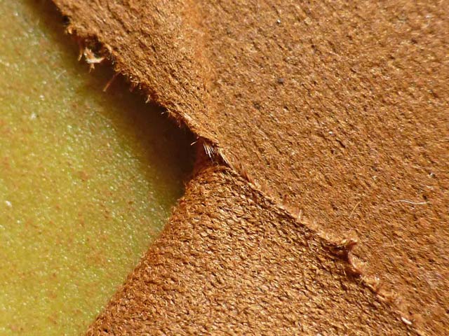 Bestand:Handytaschen-11-03-2012-09.jpg
