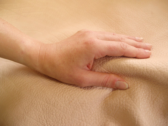 Bestand:Haptik-01.jpg