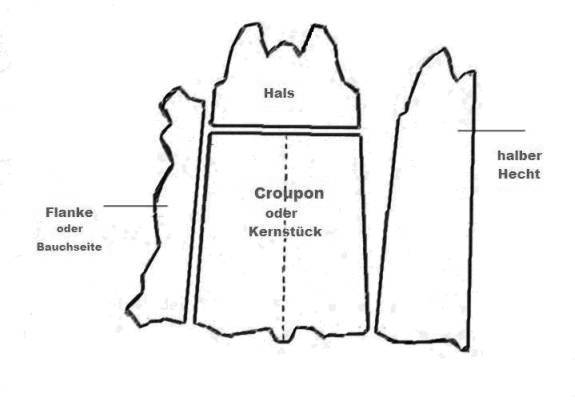 Bestand:Hautaufteilung2.jpg