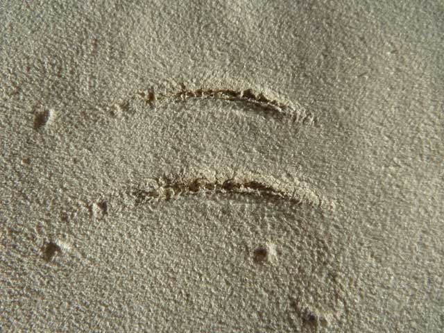 Bestand:Hornstoss-hinten-01.jpg