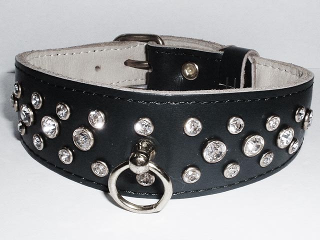 Bestand:Hundehalsband-1.jpg