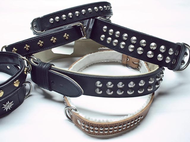 Bestand:Hundehalsband-2.jpg