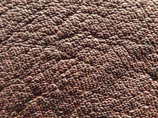 Bestand:Kaenguruleder-003.jpg