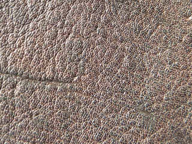 Bestand:Kaenguruleder-02.jpg