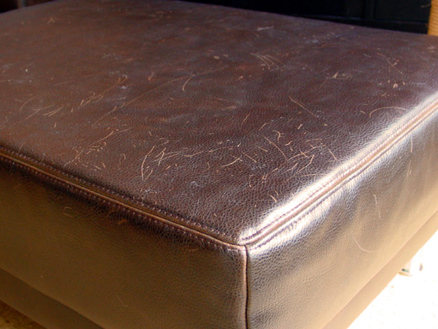 Bestand:Katzenkratzer-05.jpg