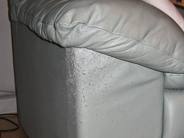 Bestand:Katzenkratzer-09.jpg