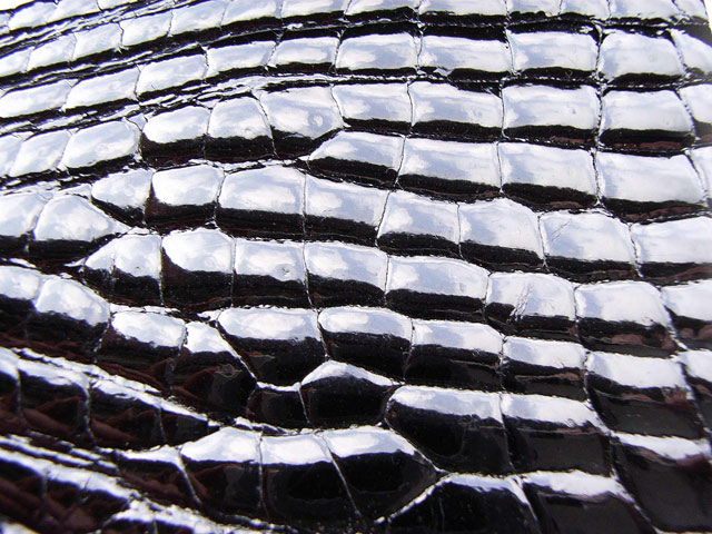 Bestand:Kroko-Glanzgestossen-01.jpg