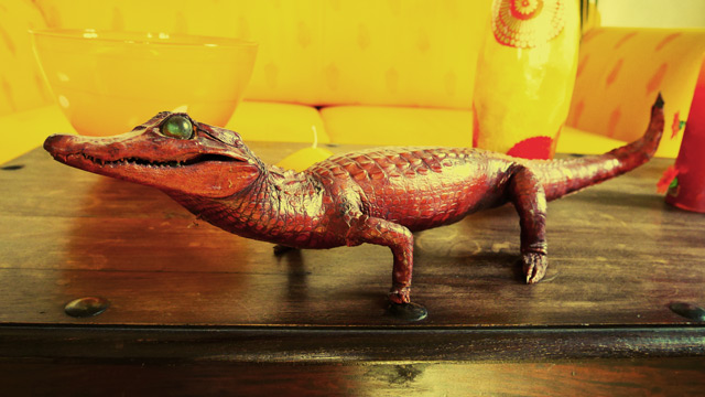 Bestand:Krokodil-ausgestopft.jpg