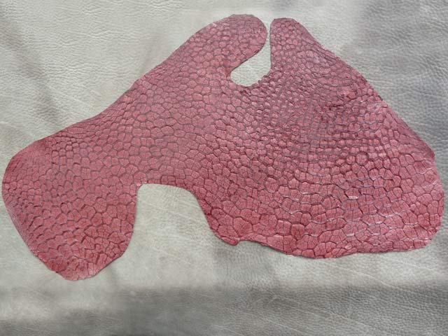Bestand:Kuheuter-001.jpg