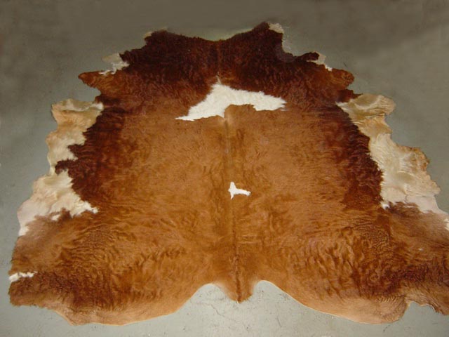 Bestand:Kuhhaut-02.jpg
