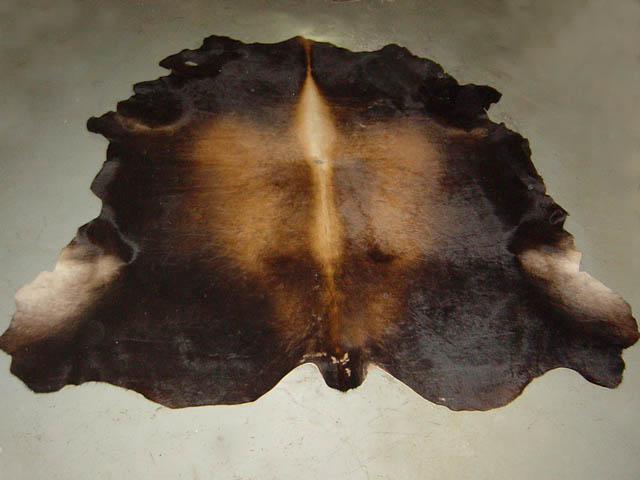Bestand:Kuhhaut-06.jpg