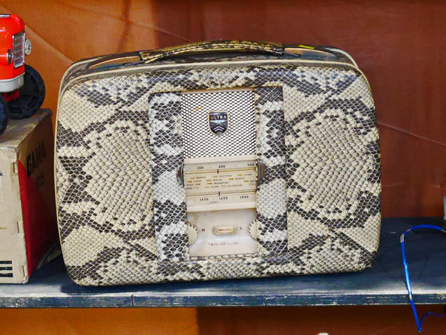 Bestand:Kunstleder-Python-01.jpg