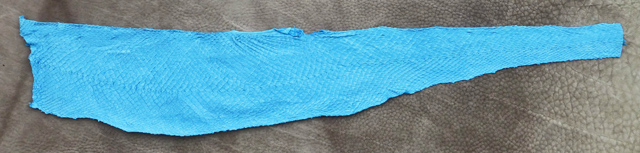Bestand:Lachs-Haut-01.jpg