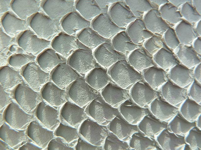 Bestand:Lachsleder-Crust-001.jpg