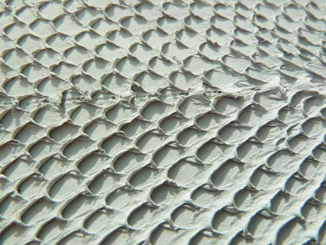 Bestand:Lachsleder-Crust-002.jpg