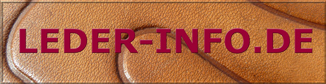 Bestand:Leder-Info-Logo-001.jpg