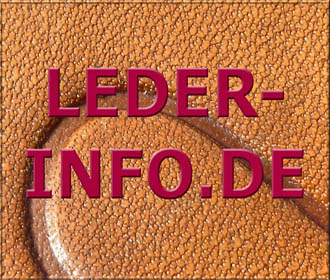 Bestand:Leder-Info-Logo-04.jpg