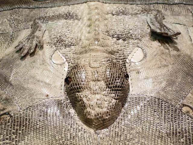 Bestand:Leguan-Handtasche-01.jpg