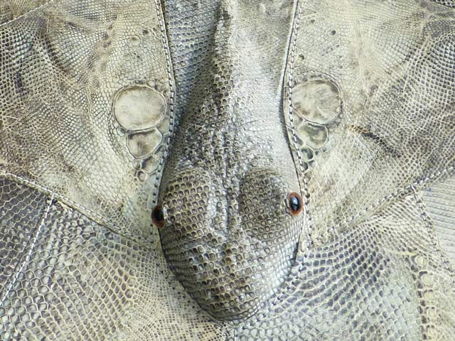 Bestand:Leguan-Handtasche-14.jpg
