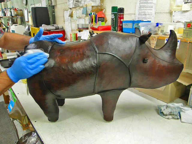 Bestand:Nashorn-Neuseeland-01.jpg