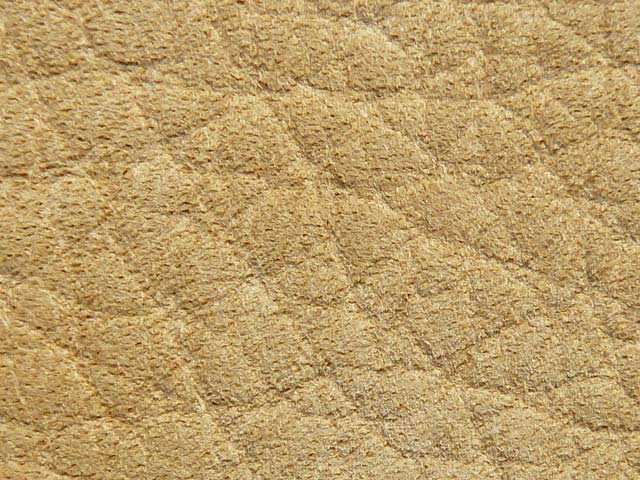 Bestand:Nubuk-0001.jpg