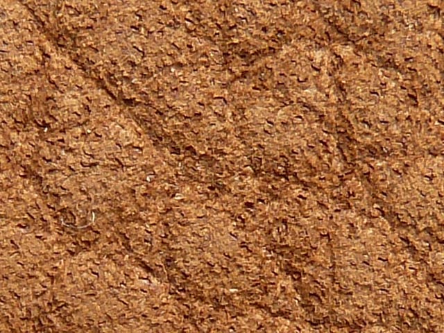 Bestand:Nubuk-0002.jpg
