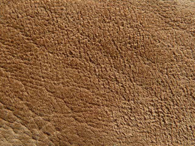 Bestand:Nubuk-Lamm-001.jpg