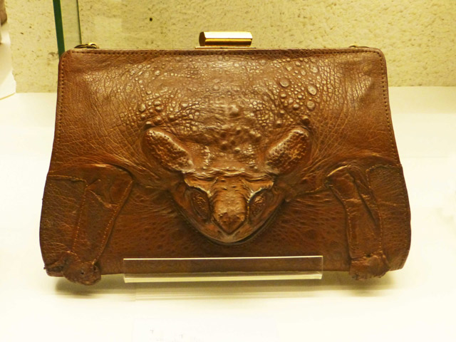 Bestand:Ochsenfrosch-01-Ledermuseum-Offenbach.jpg