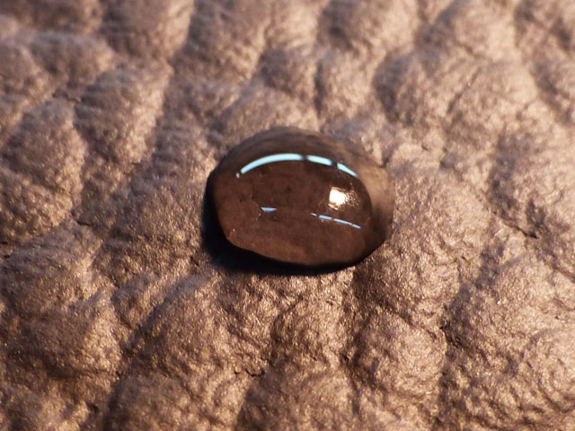 Bestand:Olivenleder-Praegung-01.jpg
