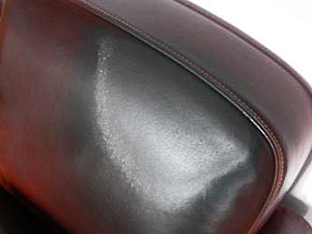 Bestand:PU-Kopf-001.jpg