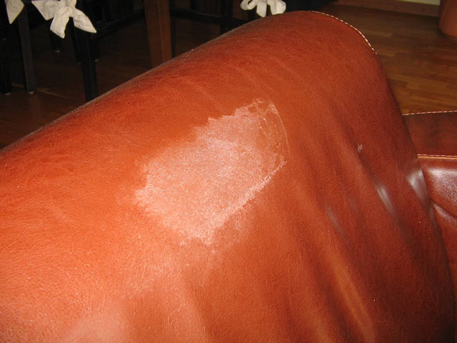 Bestand:PU-Kopf-002.jpg